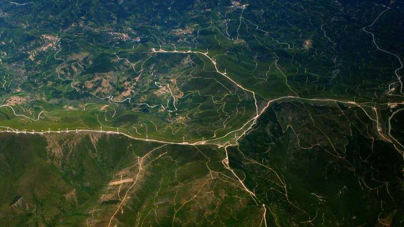 Napolyonbet ve Canlı Bahis Keyfi